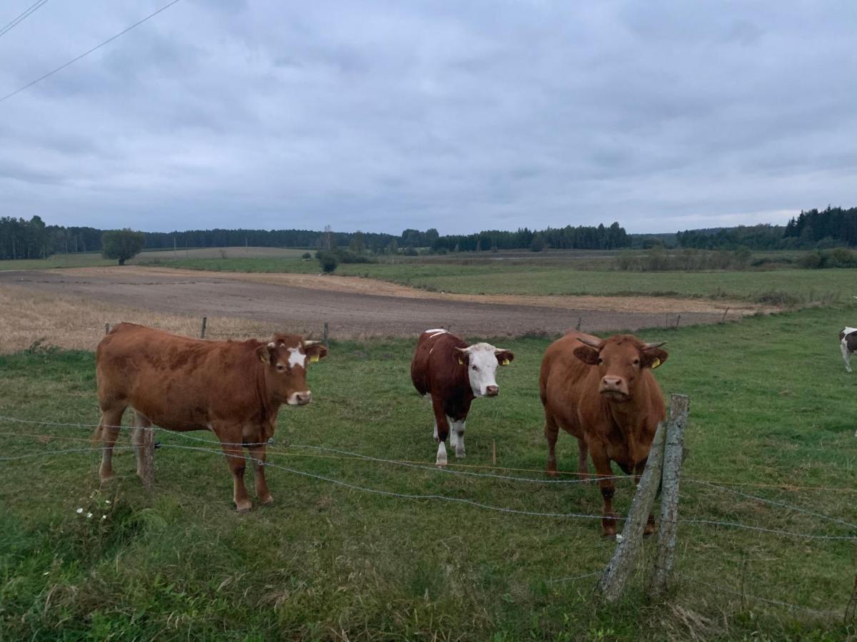 Gizycko-przerwanki Widok Na Mazury *