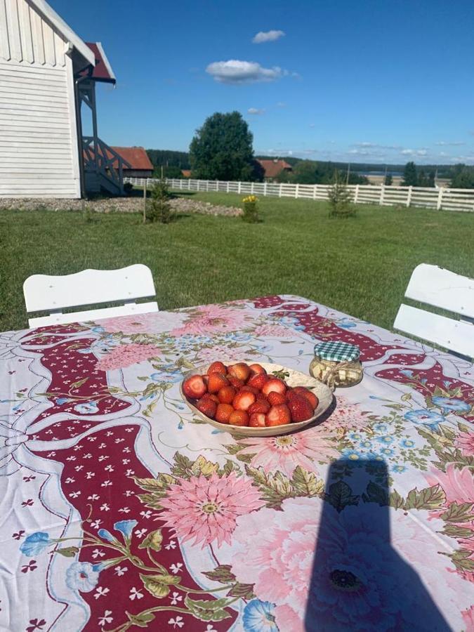 Gizycko-przerwanki Widok Na Mazury * Gizycko