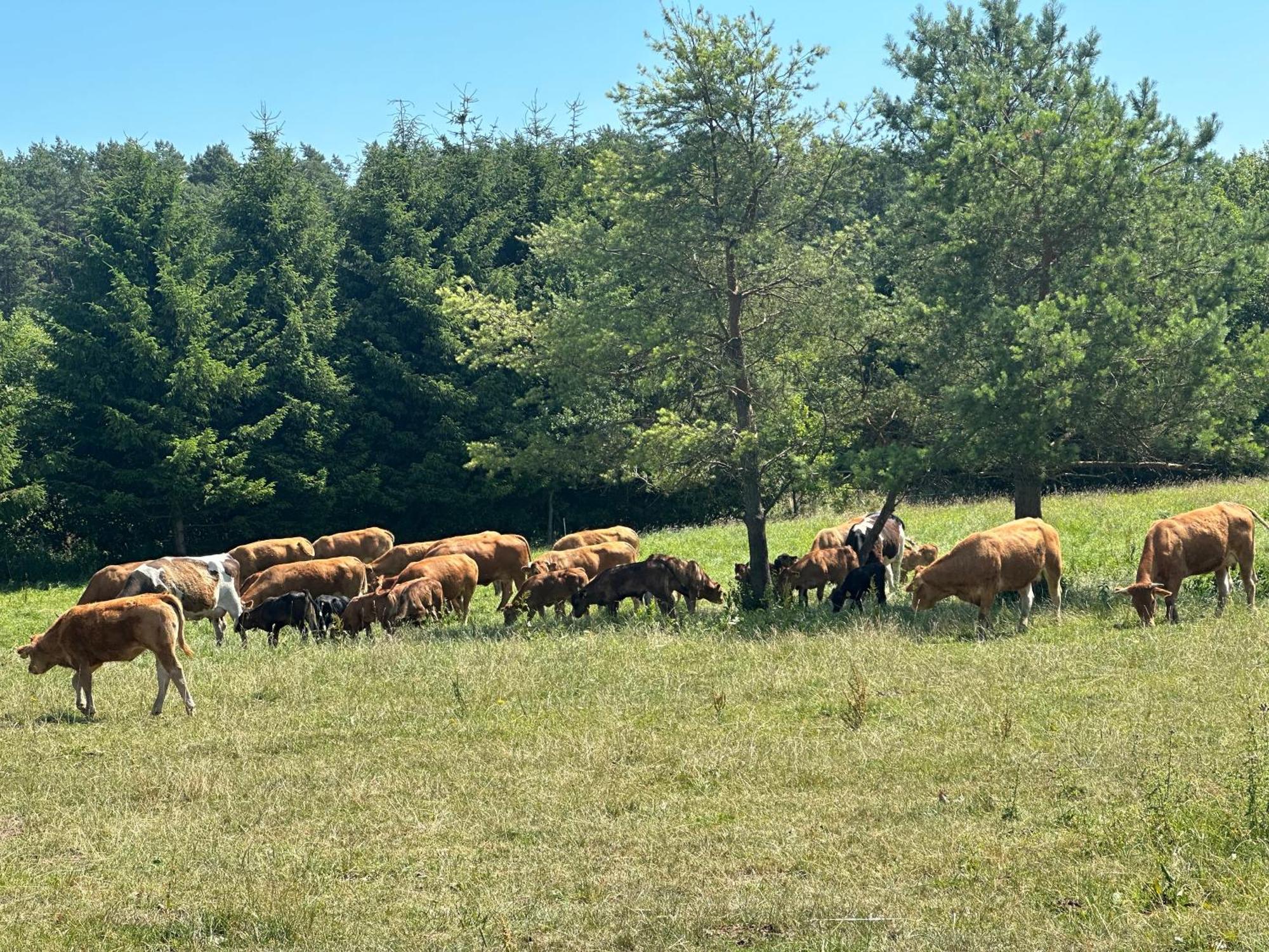 Gizycko-przerwanki Widok Na Mazury
