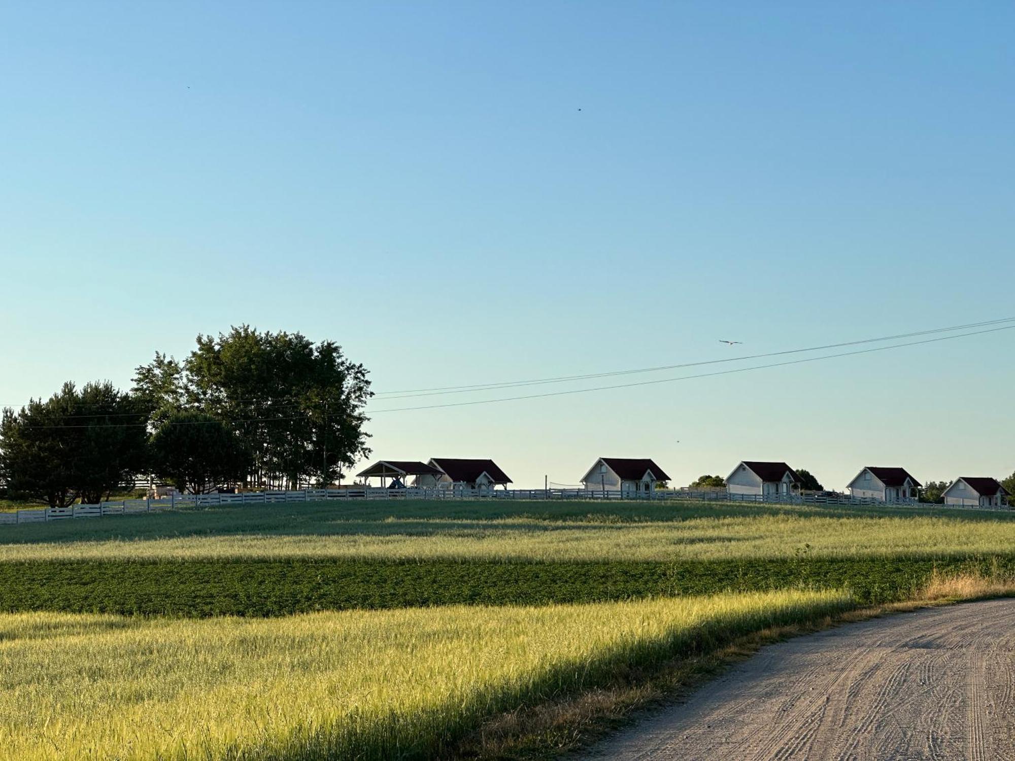 Gizycko-przerwanki Widok Na Mazury