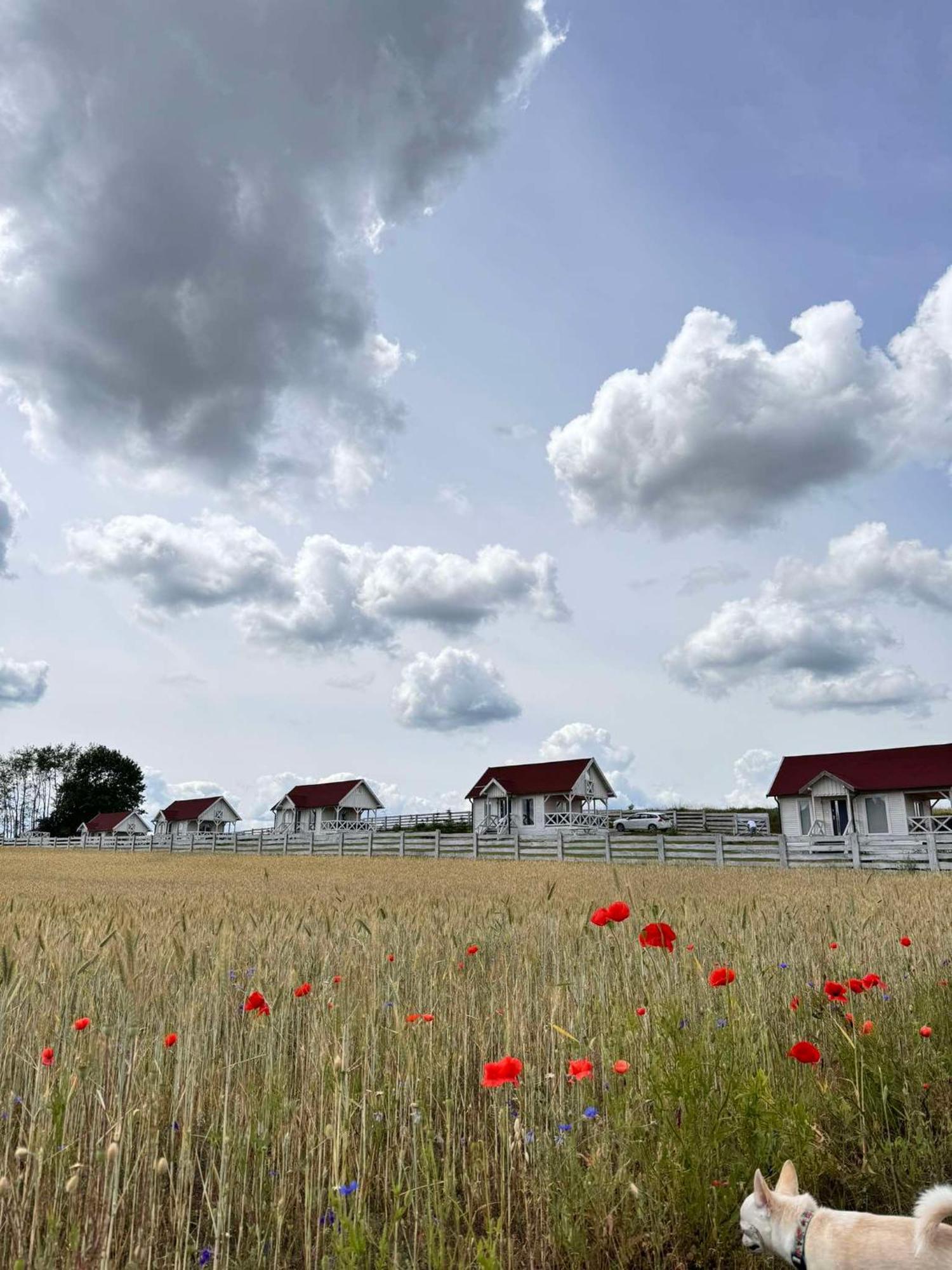 Gizycko-przerwanki Widok Na Mazury