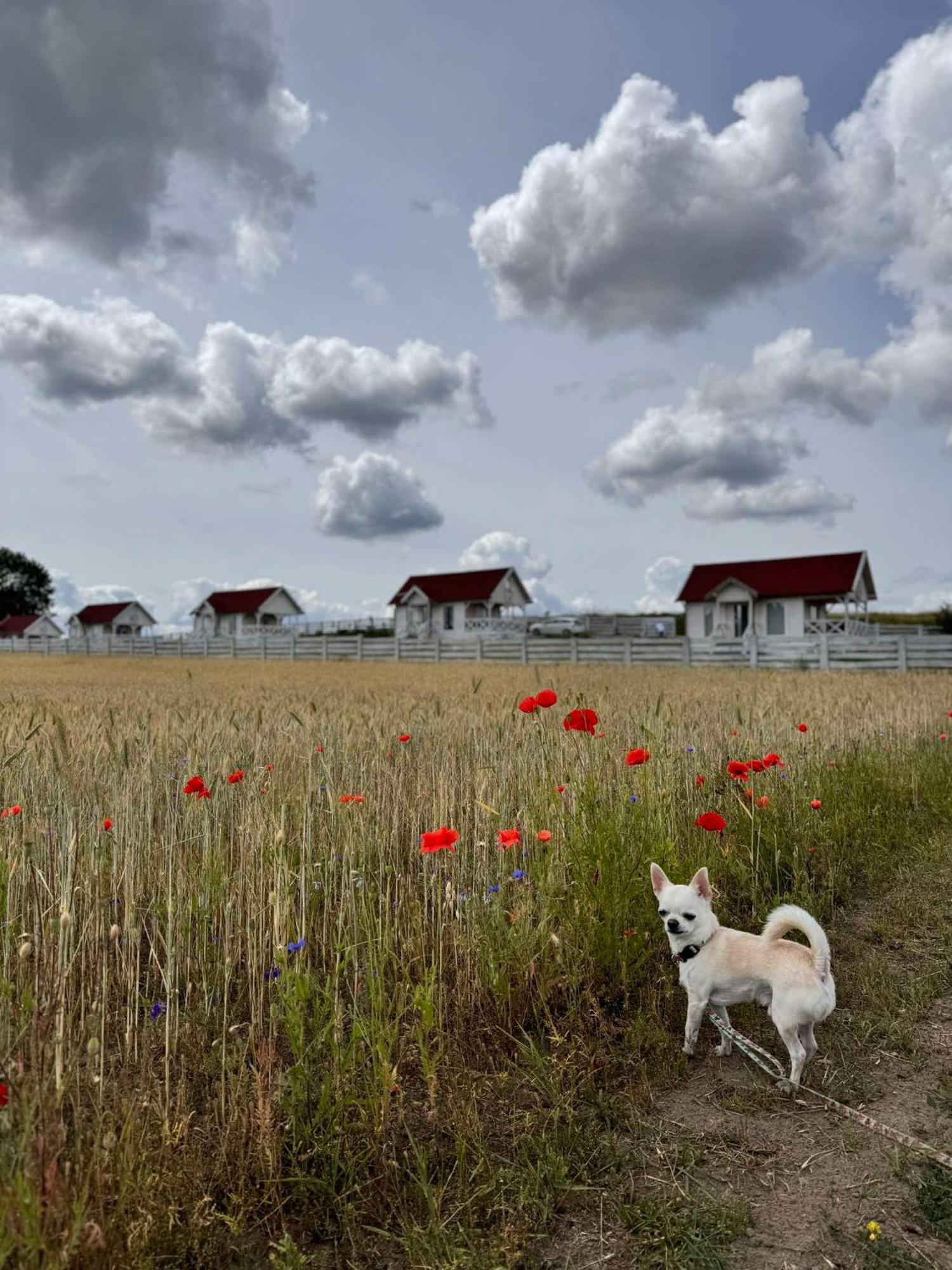 Holiday home Gizycko-przerwanki Widok Na Mazury Gizycko